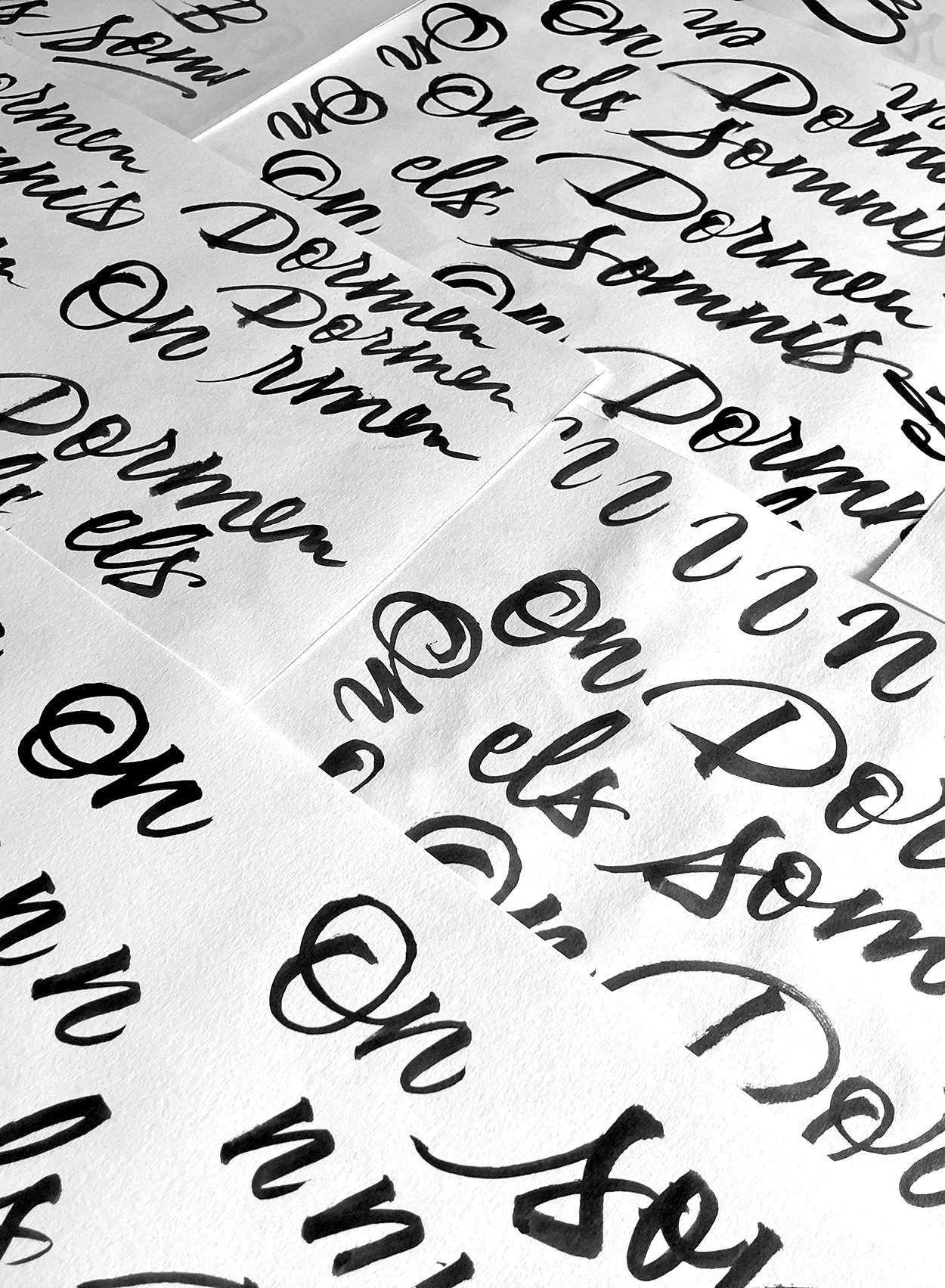On dormen els somnis sketches