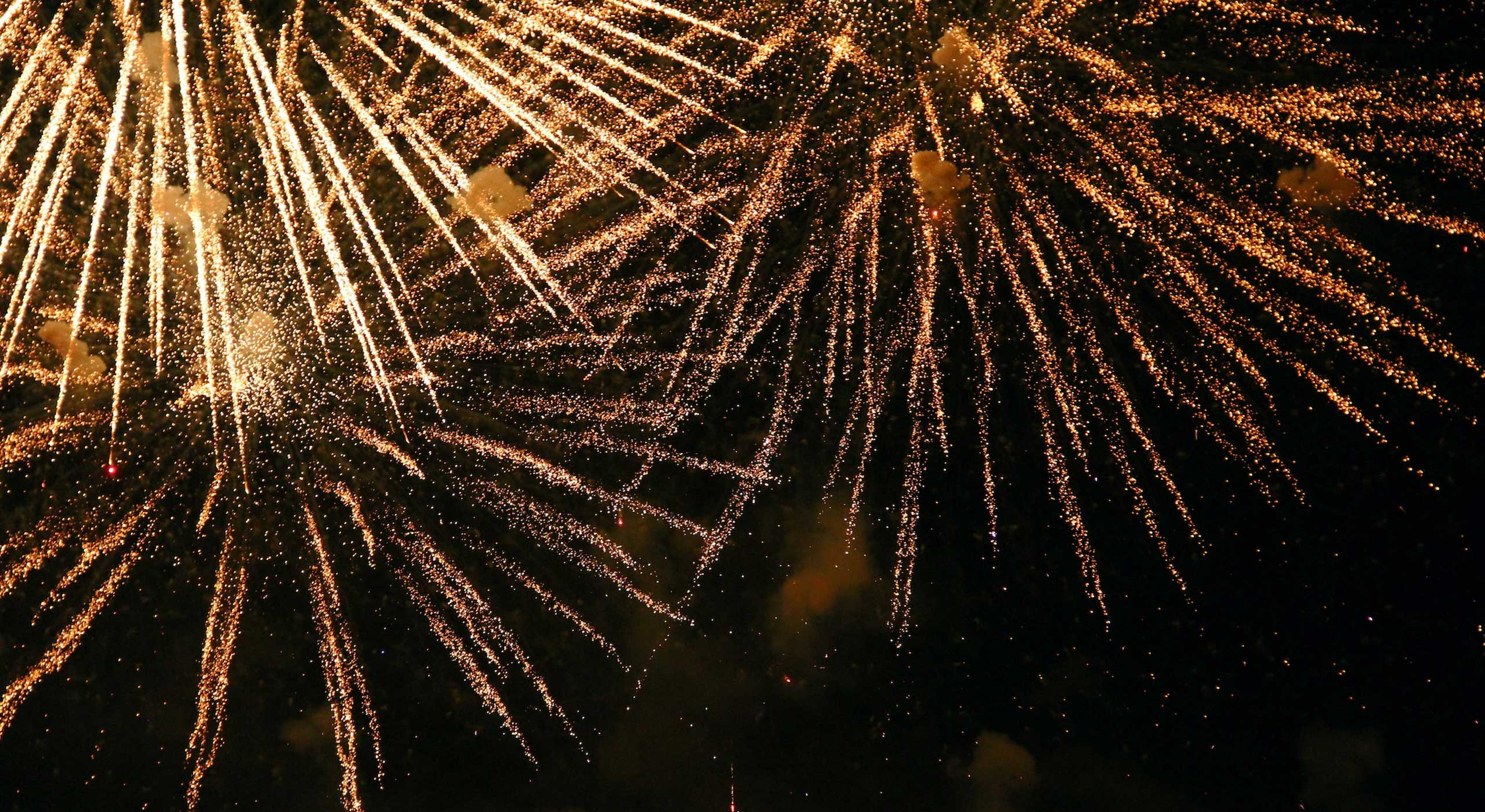 Happy New Year!