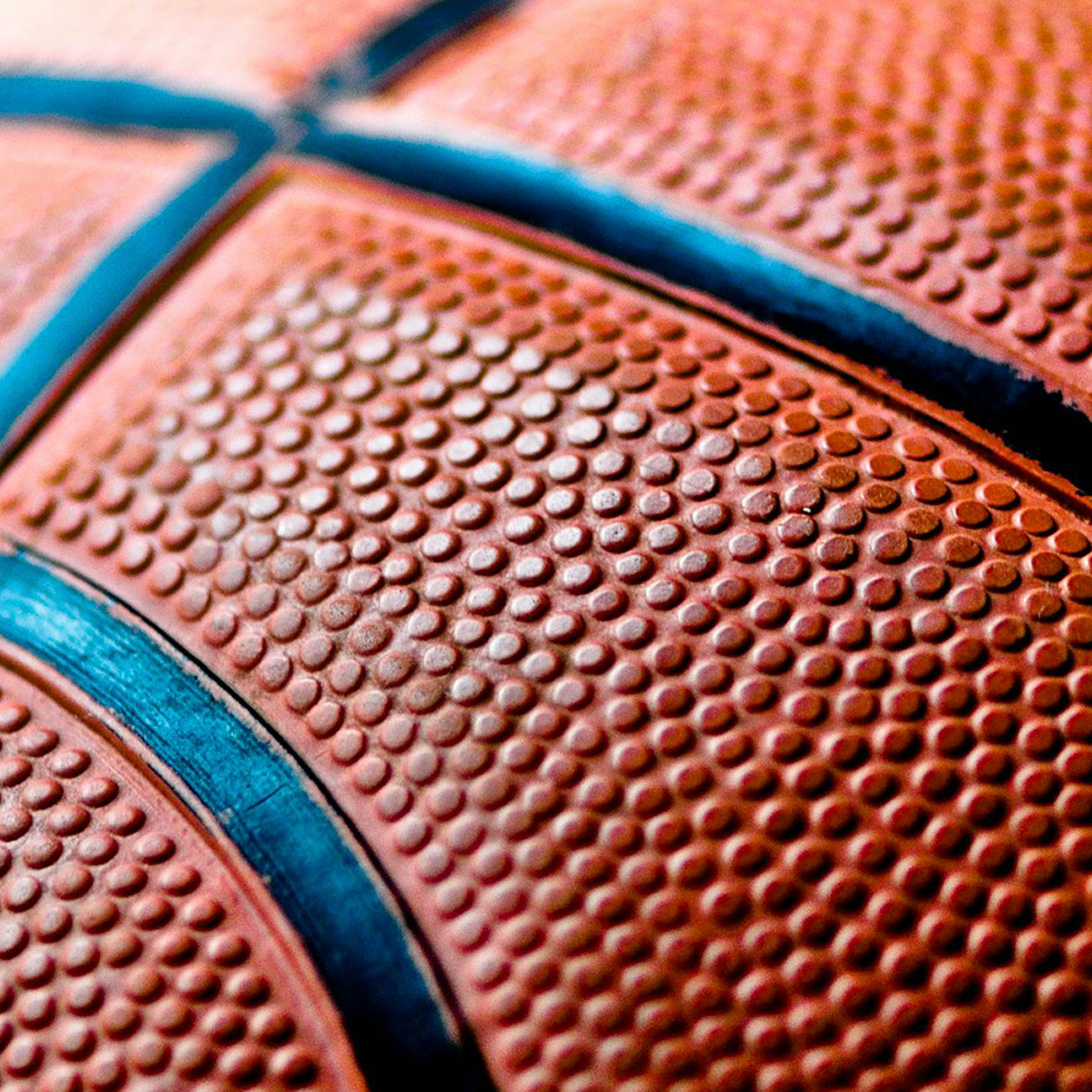 Basketball campus in Mataró