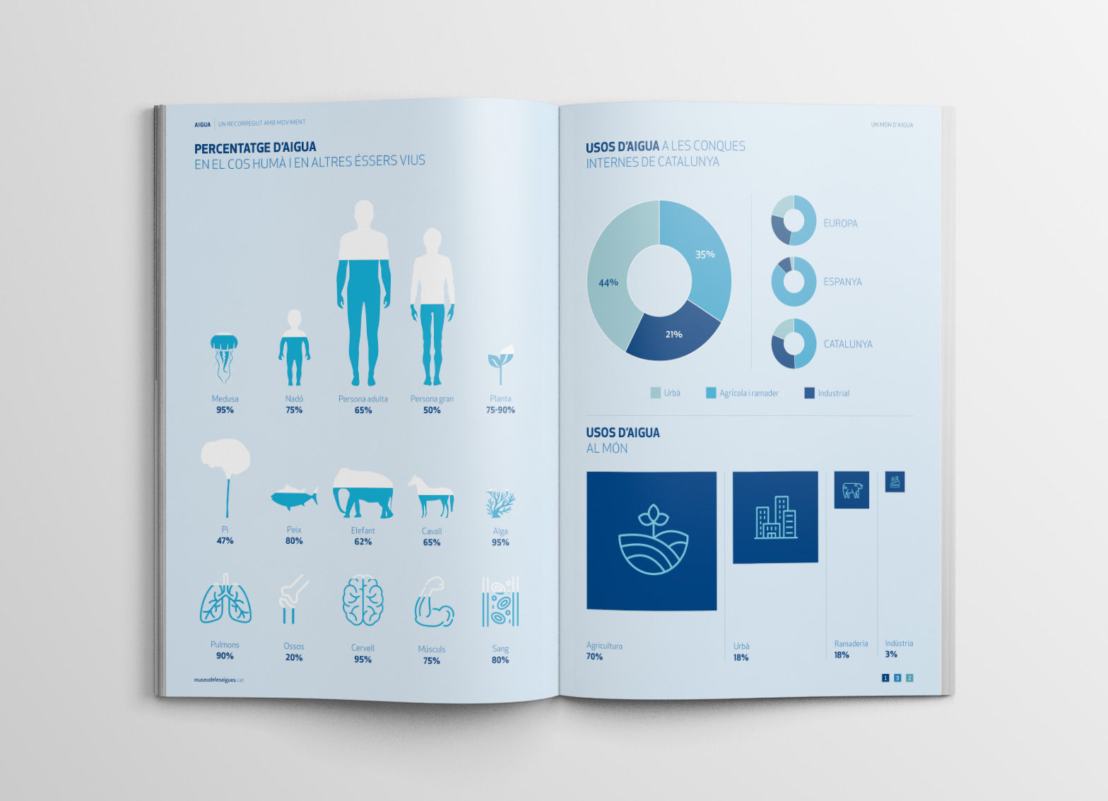 Double-page spread of infographics: percentage of water in the human body and other living beings, and water uses worldwide and in Catalonia's internal river basins.